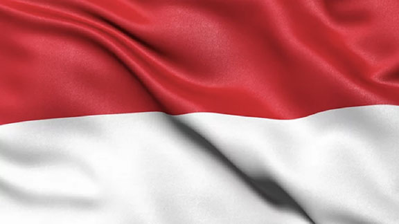 Indo-vlag